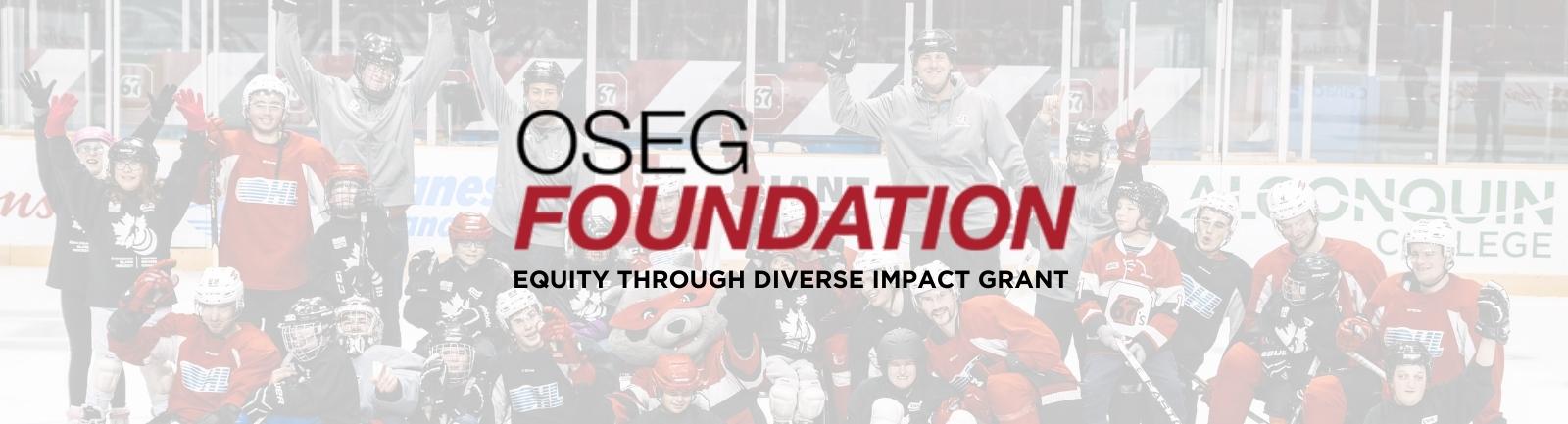 OSEG Foundation Equity Through Diverse Impact Grant banner